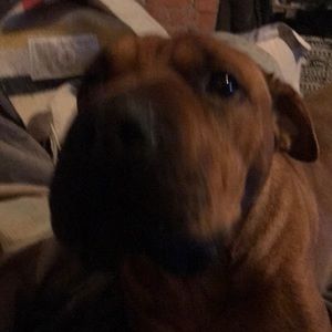 Meet your Posher, Terra